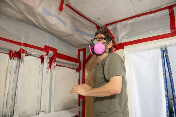 Best Crawl Space Mold Remediation  in Briar, TX