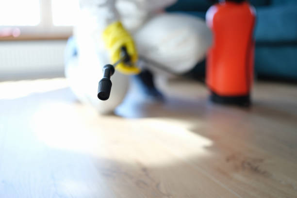 Asbestos and Lead Testing During Mold Inspection in Briar, TX